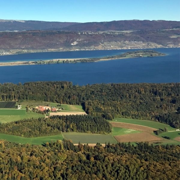 Three Lakes Scenic Flight